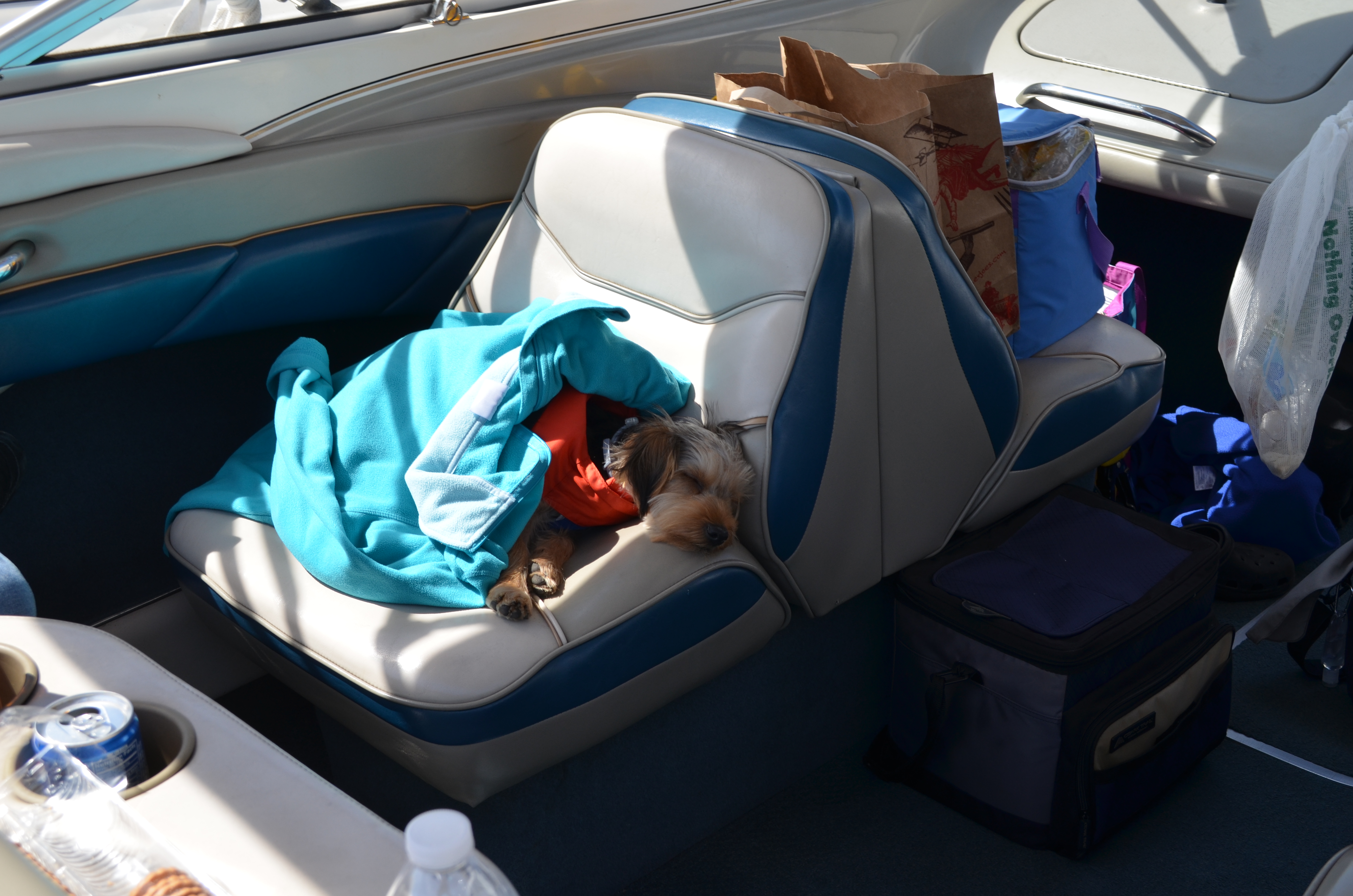 ./2016/07 - Lake Kick-Off Cruise/DSC_0778.JPG